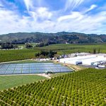 Limoneira Headquarters Solar Field in Santa Paula CA
