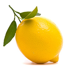 lemon-small-icon-01