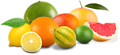 Limoneira Citrus including lemons, limes, pink lemons, oranges and specialties