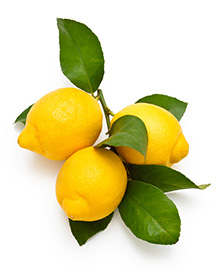 innovations_lemons