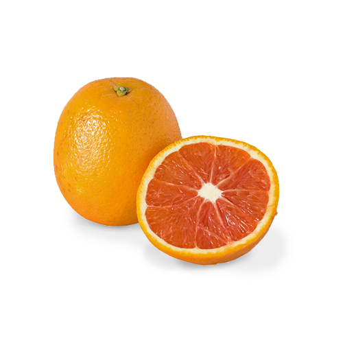 our-citrus_cara-oranges