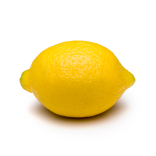 our-citrus_eureka-lemons-01