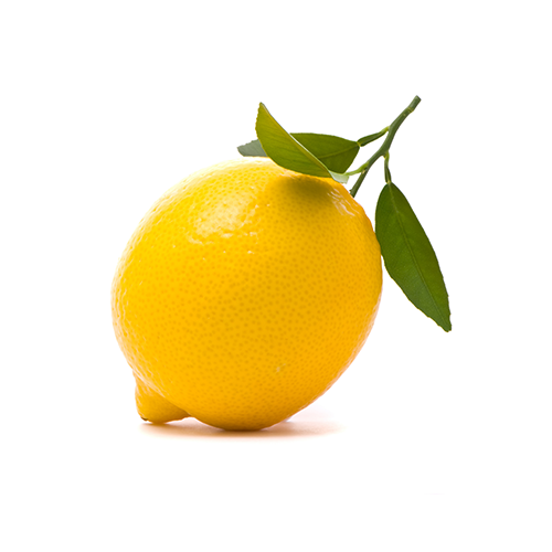 our-citrus_lisbon-lemons-01