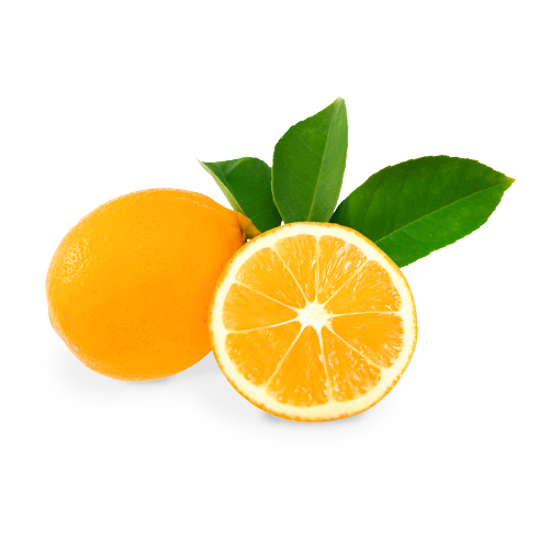 our-citrus_meyer-lemons-01