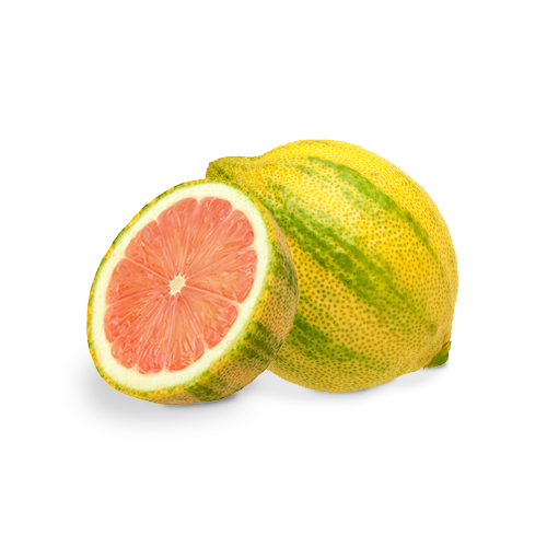 our-citrus_pink-lemons-01