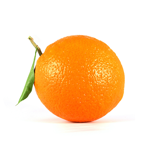 our-citrus_valencia-oranges