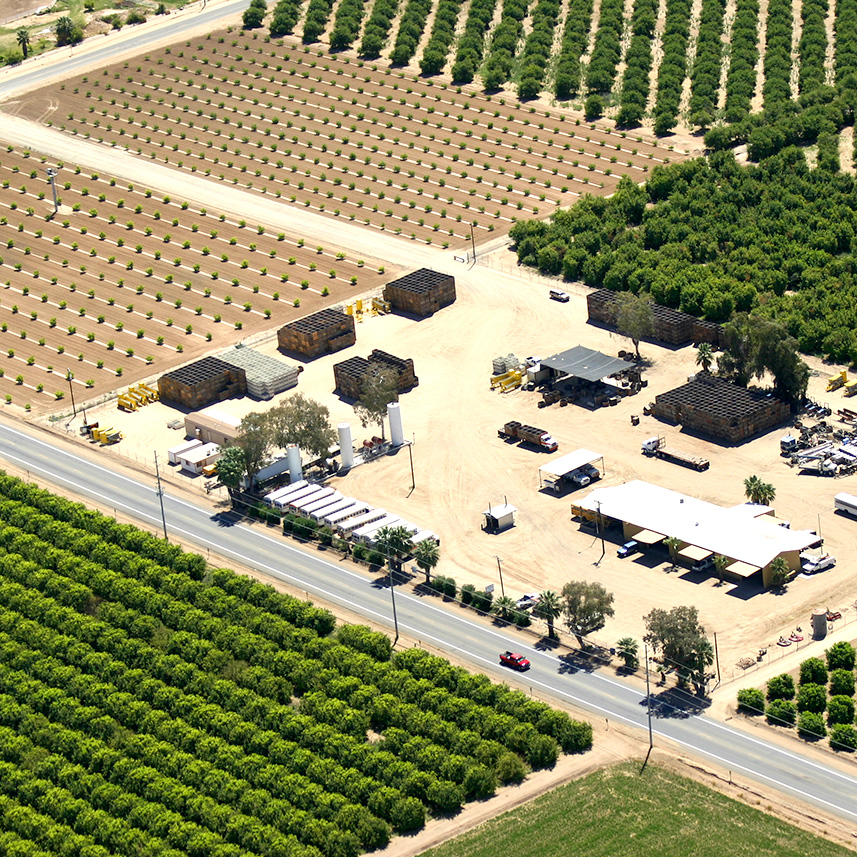 ASSOCIATED CITRUS PACKERS in Yuma Arizona - lemon orchards and packing house