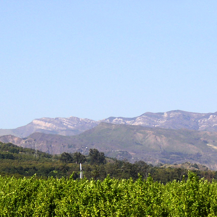 LA CAMPANA RANCH - between santa paula and fillmore ca - lemon and avocado orchards