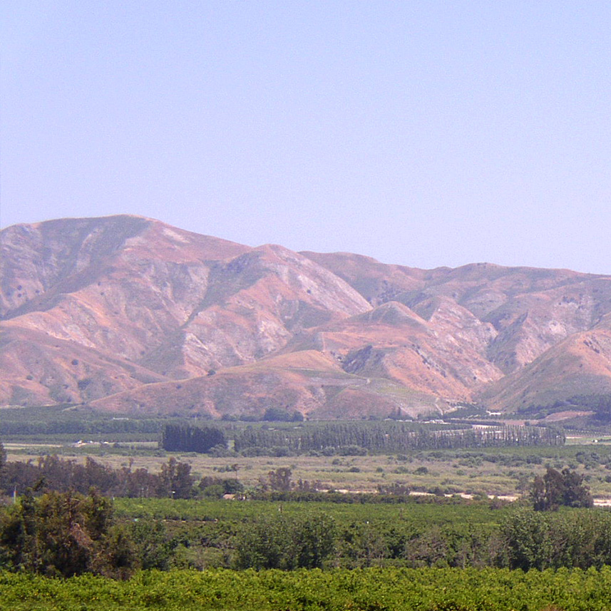 SAN CAYETANO RANCH between Santa Paula and Fillmore CA Orchards