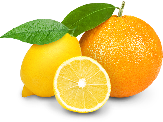 landing-01-_lemon-and-orange