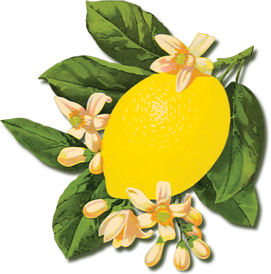 take-a-healthy-stand-lemon-01