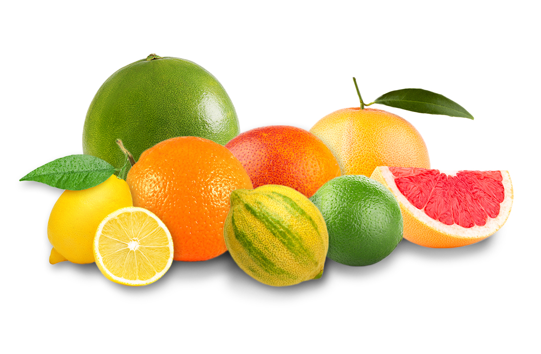 fruit-group