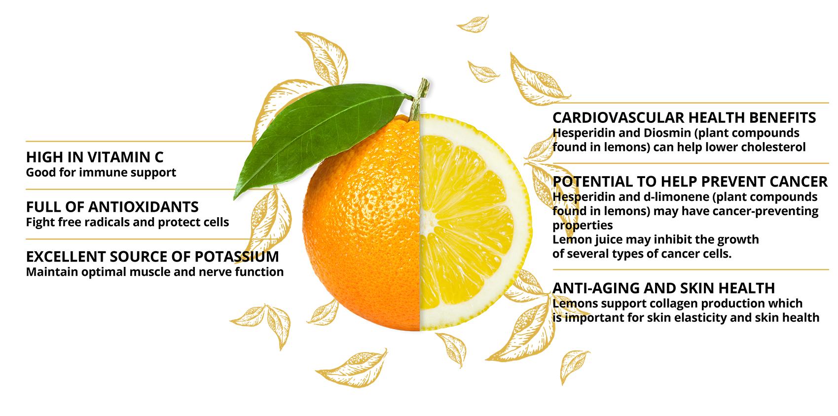 orange-lemon orange-lemon