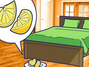 lemonbybed_post92321 lemonbybed_post92321