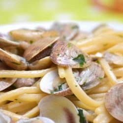 pasta-with-lemon-clam-sauce