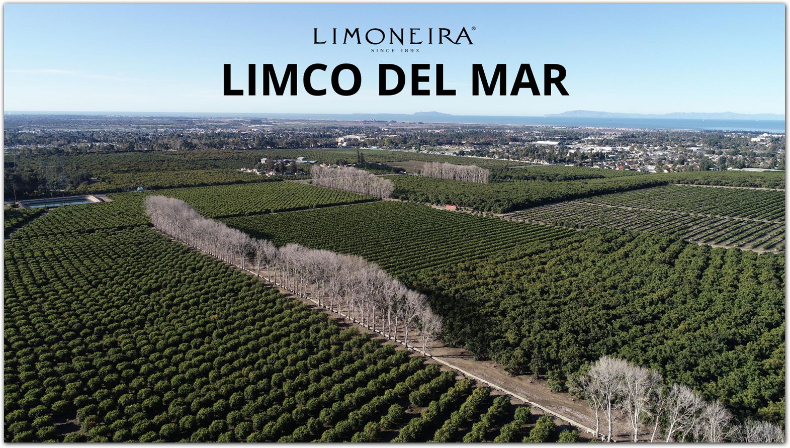 ldm-presentation-icon